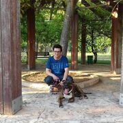 ���������� ����, ���� ������� ������, 39 ���, ������������ ��� ������, ����� � ���������