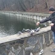 ���������� ����, ���� ������� �������, 43 ����, ������������ ��� ������, ����� � ���������, c�������� ���������