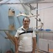  ,   Rahmon, 45 ,   ,   , c 
