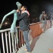 ���������� ������, ���� ������� ����, 36 ���, ������������ ��� ������, ����� � ���������, c�������� ���������