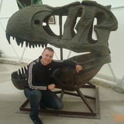  ,   , 37 ,   