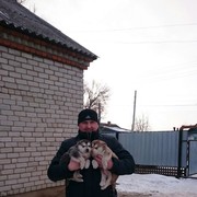  -,   , 41 ,   ,   , c 