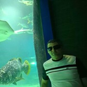 ���������� ������, ���� ������� ������, 36 ���, ������������ ��� ������, ����� � ���������