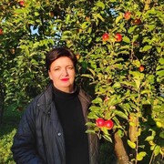 ���������� �����-���������, ���� ������� ���������, 48 ���, ������������ ��� c�������� ���������