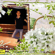 ���������� ����, ���� ������� Bahlul, 39 ���, ������������ ��� ������, ����� � ���������, c�������� ���������