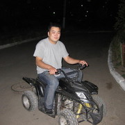  Rheinbreitbach,  , 43