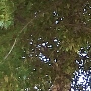  ,   , 34 ,   ,   , c 