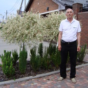  ,   , 65 ,   