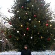 ���������� �������, ���� ������� Koly, 38 ���, ������������ ��� ������, ����� � ���������, c�������� ���������