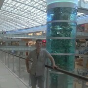  ,   , 38 ,   c 