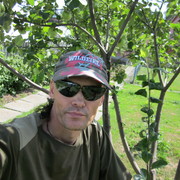  ,   , 53 ,  