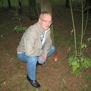  ,   , 56 ,   