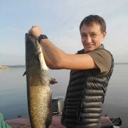 ���������� ���������� �����, ���� ������� ����, 43 ����, ������������ ��� ������, ����� � ���������