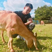 ���������� �����, ���� ������� ������ ����, 39 ���, ������������ ��� ����� � ���������, c�������� ���������