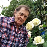  ,   Nikolay, 79 ,   ,   , c 