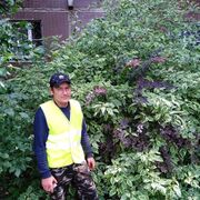 ���������� ������, ���� ������� �������, 47 ���, ������������ ��� ������, ����� � ���������, c�������� ���������