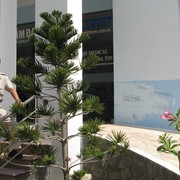 �������.�������.����� ������� ���.�����.