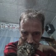 ���������� ���������, ���� ������� �������, 47 ���, ������������ ��� ������, ����� � ���������, c�������� ���������