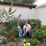  ,   , 36 ,   c , 