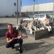 ���������� ��������, ���� ������� ���������, 40 ���, ������������ ��� ������, ����� � ���������, c�������� ���������