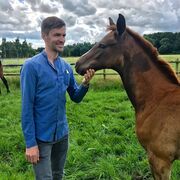 ���������� ���������, ���� ������� ������, 40 ���, ������������ ��� ������, ����� � ���������, c�������� ���������, ���������