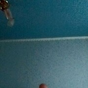 ���������� �����-���������, ���� ������� ����, 53 ����, ������������ ��� ������