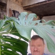  ,   , 62 ,  