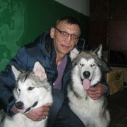 ���������� ���������, ���� ������� Igor, 55 ���, ������������ ��� ������, ����� � ���������, c�������� ���������