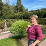 ���������� �����������, ���� ������� �������, 45 ���, ������������ 