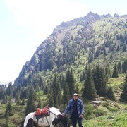  ,   , 41 ,   ,   , c 