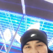  ,   Yasi, 41 ,   ,   , c 