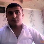  ,   Mitya, 40 ,   ,   , c 