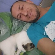 ���������� �������������-����������, ���� ������� ����, 33 ����, ������������ ��� ����� � ���������, c�������� ���������