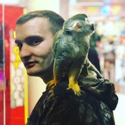 ���������� �������, ���� ������� �����, 32 ����, ������������ ��� ������, ����� � ���������, c�������� ���������