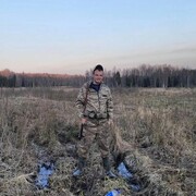 ���������� ���������, ���� ������� ������, 31 ���, ������������ ��� ������, ����� � ���������, c�������� ���������