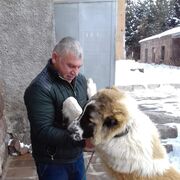 ���������� ������, ���� ������� �����, 53 ����, ������������ ��� ������, ����� � ���������