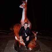  ,   , 33 ,   ,   