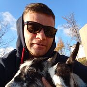 ���������� ����, ���� ������� �����, 41 ���, ������������ ��� ������, ����� � ���������, c�������� ���������