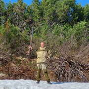 ���������� �������, ���� ������� �������, 38 ���, ������������ ��� ������, ����� � ���������