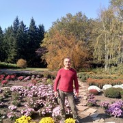   ,   , 63 ,   
