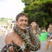  ,   , 41 ,   