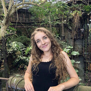 ���������� ������, ���� ������� ���, 26 ���, ������������ ��� ������, ����� � ���������, ���������