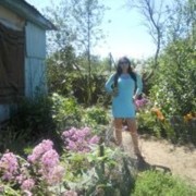 ���������� ������, ���� ������� ���, 38 ���, ������������ ��� ������, ����� � ���������, c�������� ���������