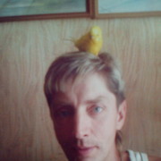  ,   , 49 ,     , c 
