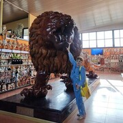 ���������� ������, ���� ������� ���������, 56 ���, ������������ ��� ������, ����� � ���������