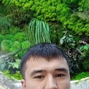 ���������� ���������, ���� ������� ������, 36 ���, ������������ ��� ������, ����� � ���������, c�������� ���������, ���������