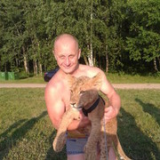 ���������� �����, ���� ������� ����, 42 ����, ������������ ��� ������, ����� � ���������, c�������� ���������