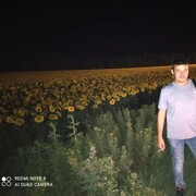  ,   , 39 ,     , c , 