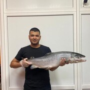 ���������� �����������, ���� ������� ������, 26 ���, ������������ ��� ����� � ���������, c�������� ���������