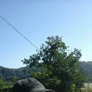  ,   , 49 ,   ,   , c 